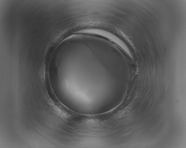 X0000076380637200610061125