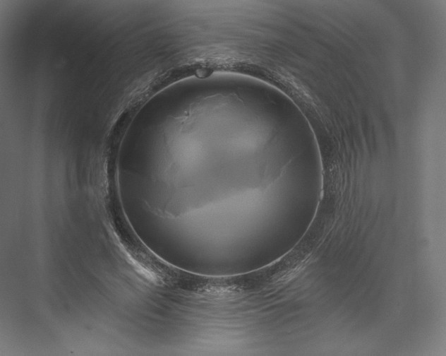 X0000076380638200610061125