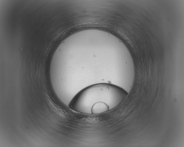 X0000076380639200610061125