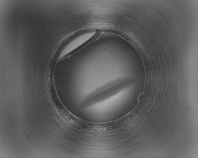 X0000076380640200610061125