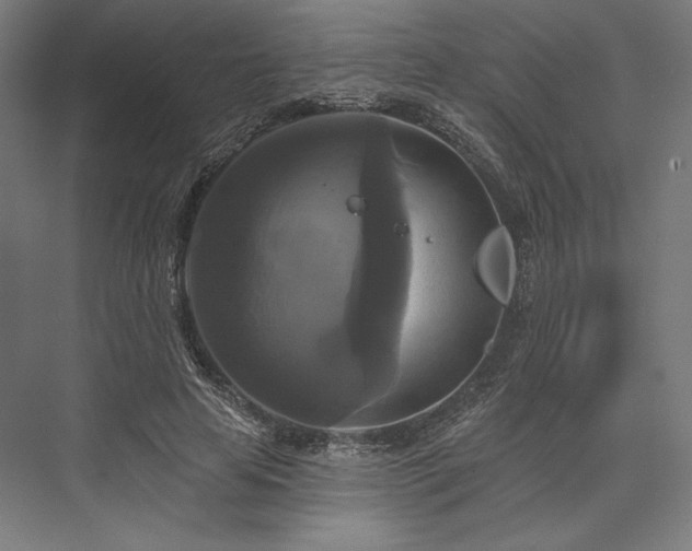 X0000076380641200610061125