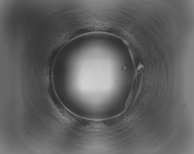 X0000076380642200610061125