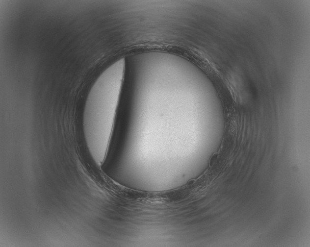 X0000076380643200610061125