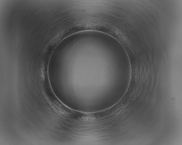 X0000076380644200610061125