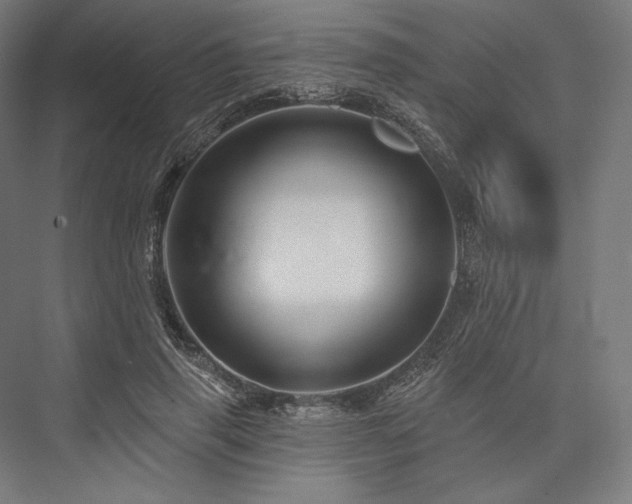 X0000076380645200610061125