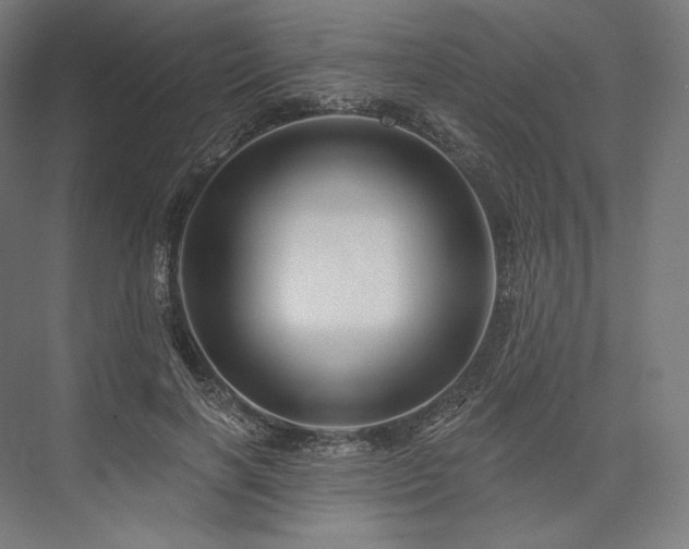 X0000076380646200610061126