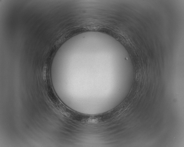 X0000076380647200610061126