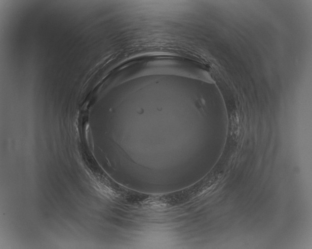 X0000076380648200610061126