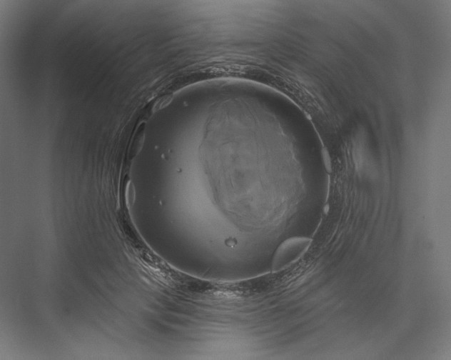 X0000076380649200610061126