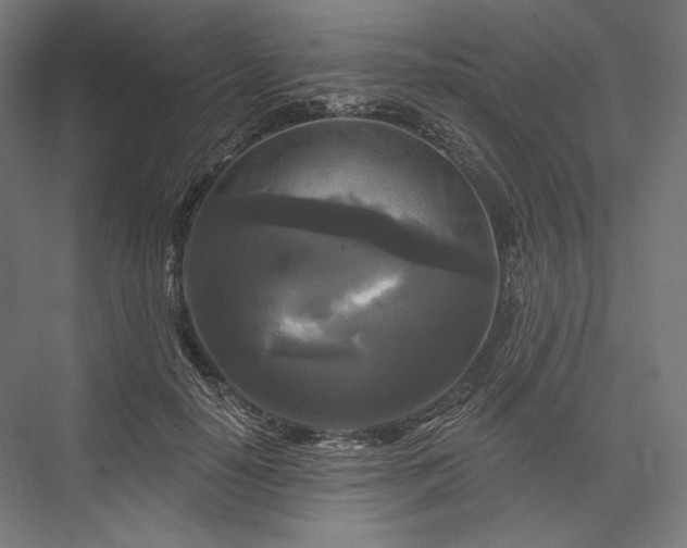 X0000076380650200610061126