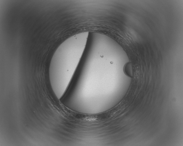 X0000076380651200610061126