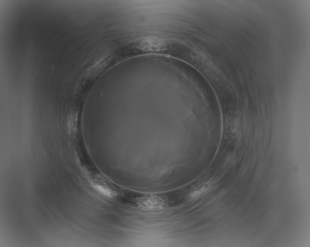 X0000076380652200610061126