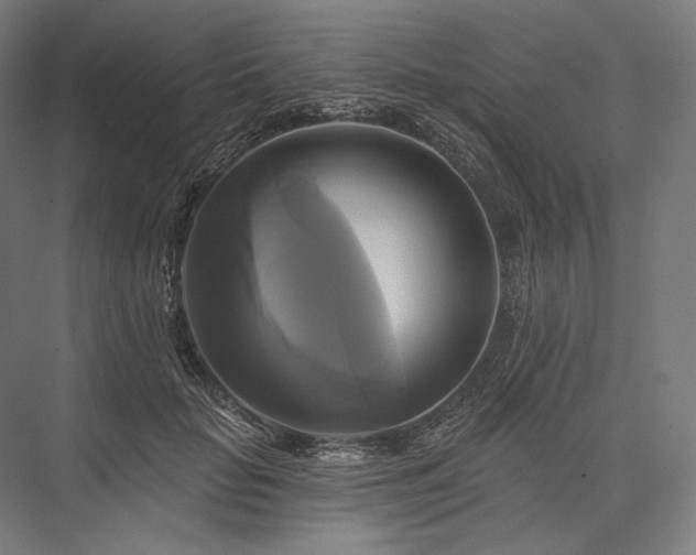 X0000076380653200610061126