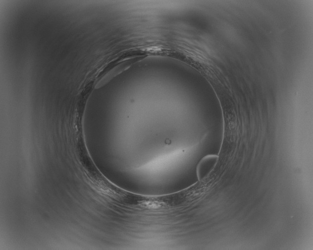 X0000076380654200610061126