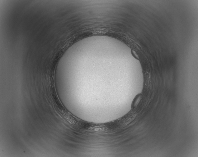 X0000076380655200610061126