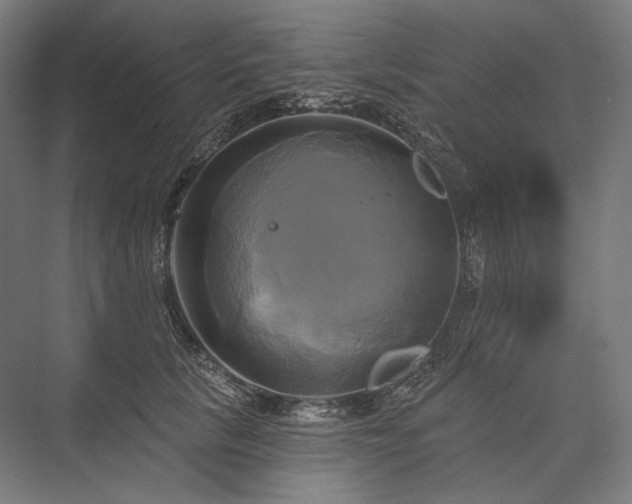 X0000076380657200610061126