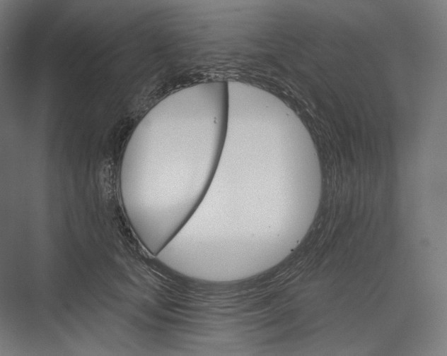 X0000076380659200610061126