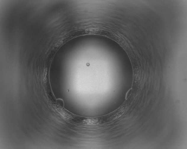 X0000076380660200610061126