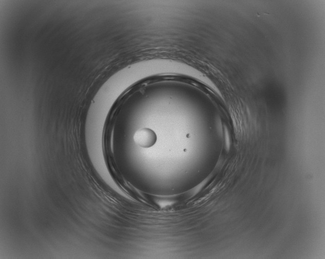 X0000076380661200610061126