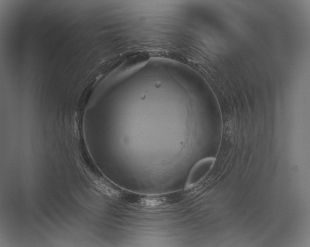 X0000076380662200610061126