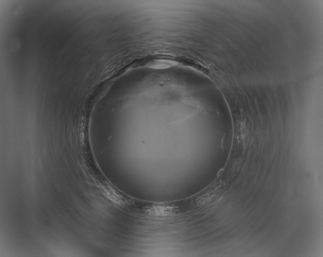 X0000076380664200610061126