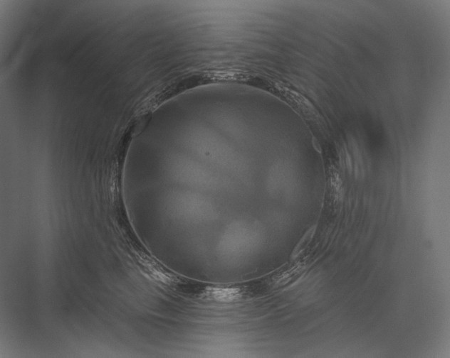 X0000076380665200610061126