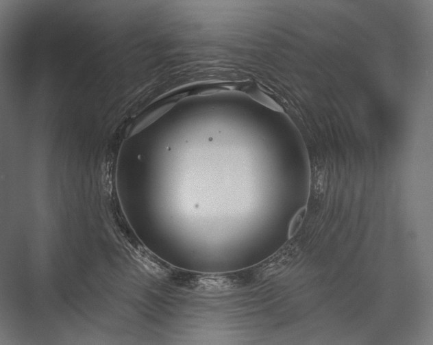 X0000076380666200610061126