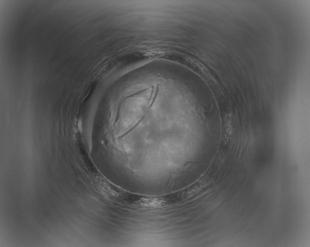 X0000076380667200610061126