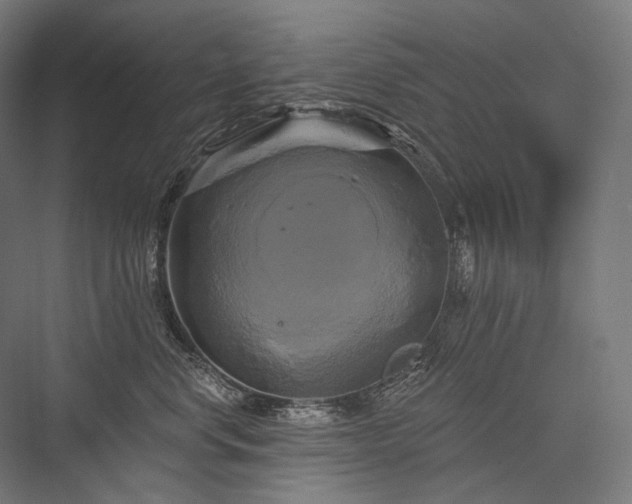 X0000076380668200610061126