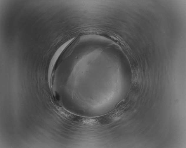 X0000076380669200610061126