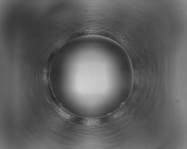 X0000076380670200610061126