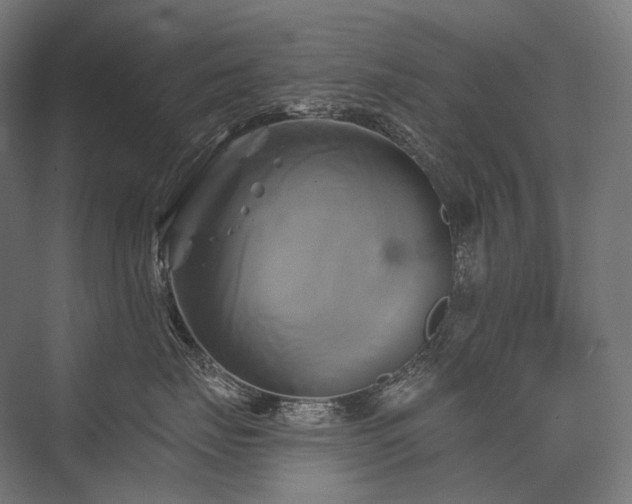 X0000076380671200610061126