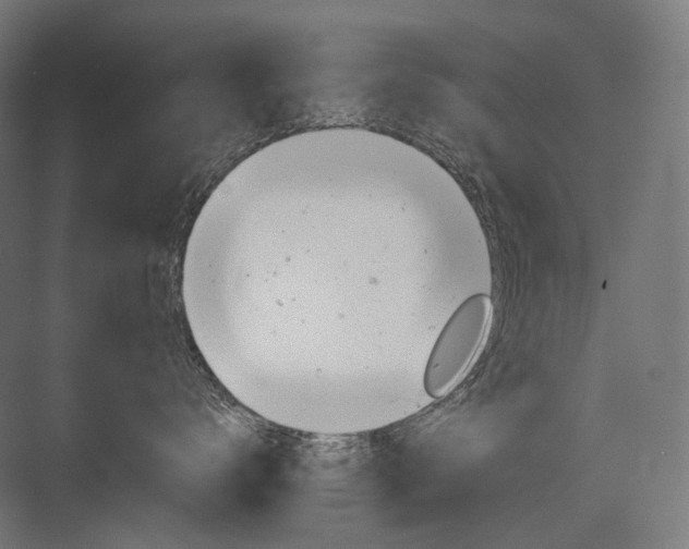 X0000076380672200610061126