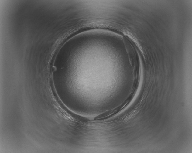 X0000076380673200610061125