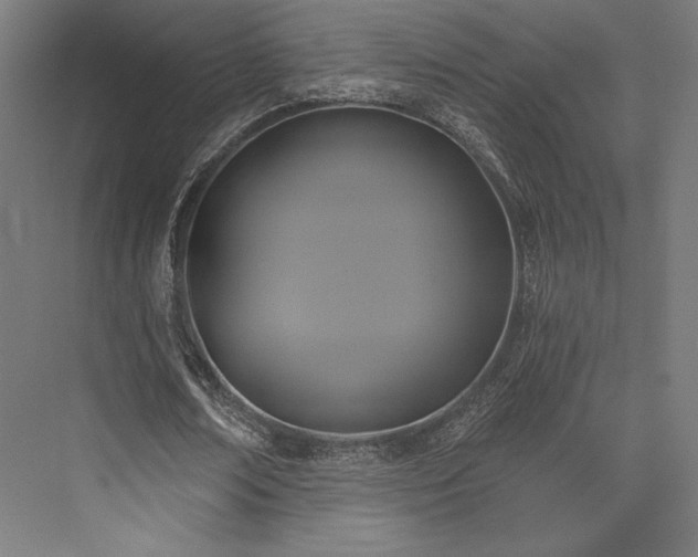 X0000076380674200610061125