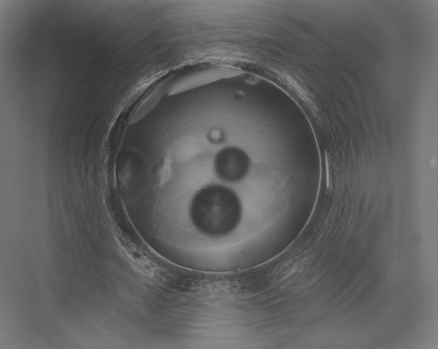 X0000076380675200610061125