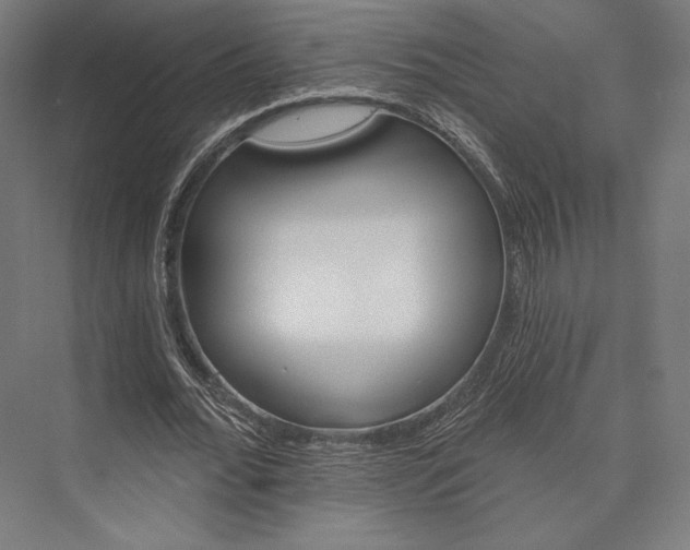 X0000076380676200610061125