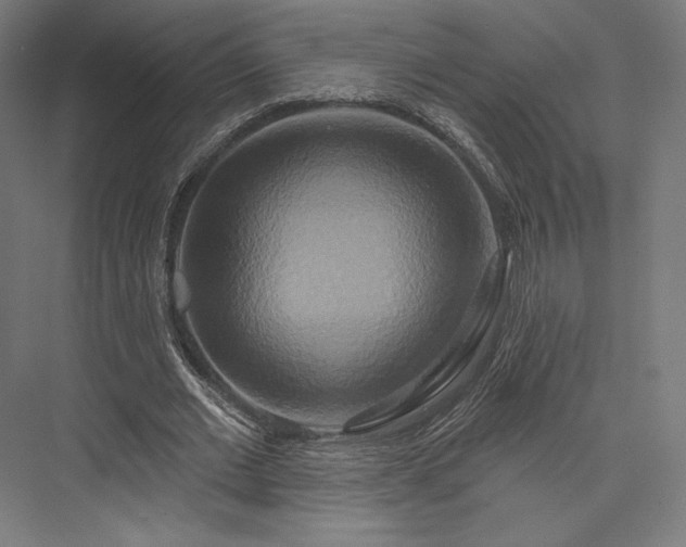 X0000076380677200610061125