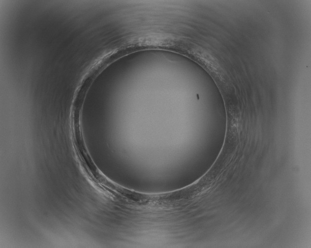 X0000076380678200610061125