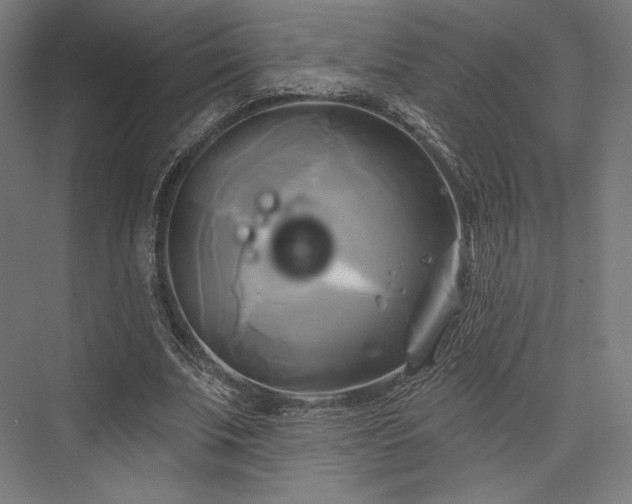 X0000076380679200610061125