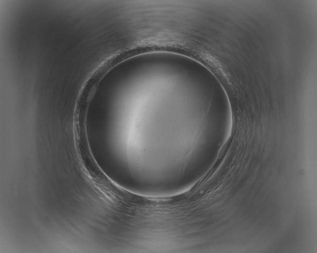 X0000076380680200610061125