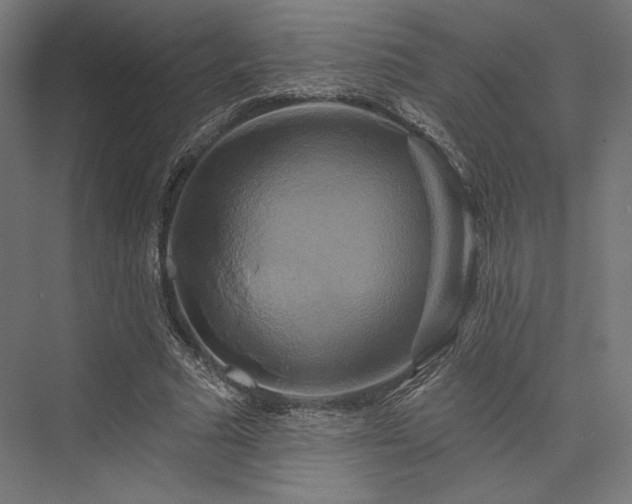 X0000076380681200610061125