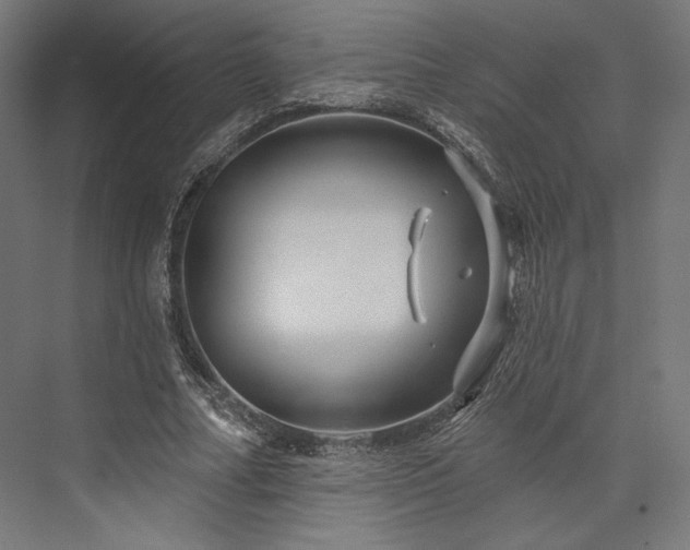 X0000076380682200610061125