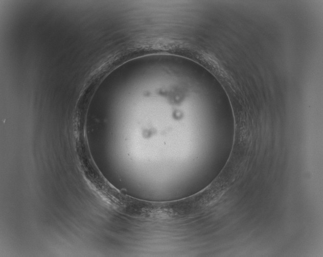 X0000076380683200610061125