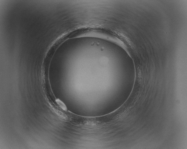 X0000076380684200610061125