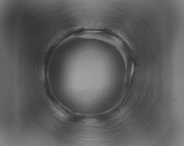 X0000076380685200610061125