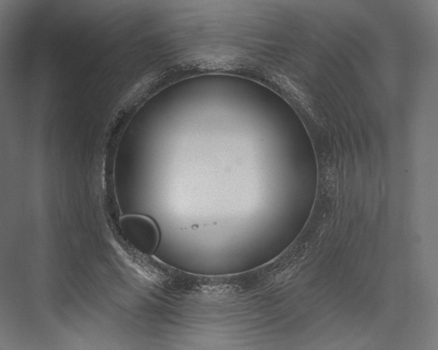 X0000076380686200610061125