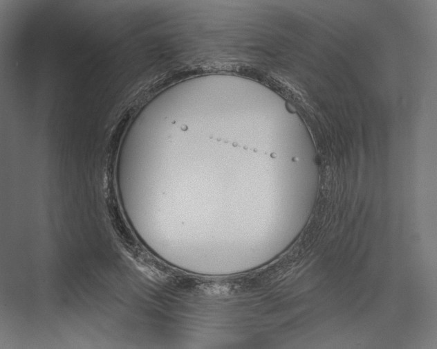 X0000076380687200610061125