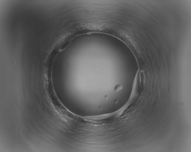 X0000076380688200610061125