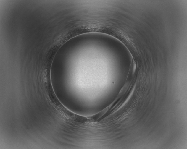 X0000076380689200610061125